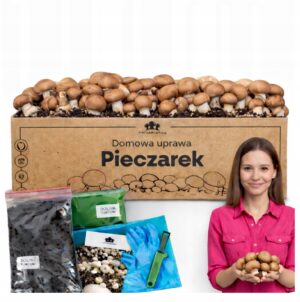 Rudųjų pievagrybių auginimo rinkinys 15 kg su instrukcija su papildomu priedu namams