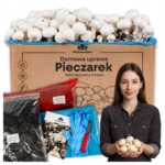 Baltųjų pievagrybių auginimo rinkinys 8 kg su instrukcija su papildomu priedu namams 2