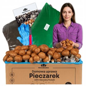 Rudųjų pievagrybių auginimo rinkinys 8 kg su instrukcija su papildomu priedu namams 2