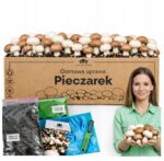 Baltųjų ir rudųjų pievagrybių auginimo rinkinys 15 kg su papildomu priedu namams 2