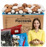 Baltųjų ir rudųjų pievagrybių auginimo rinkinys 8 kg su papildomu priedu
