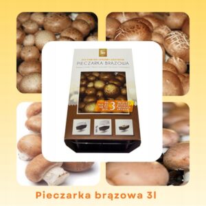 Rudųjų pievagrybių auginimo rinkinys 3 l namams