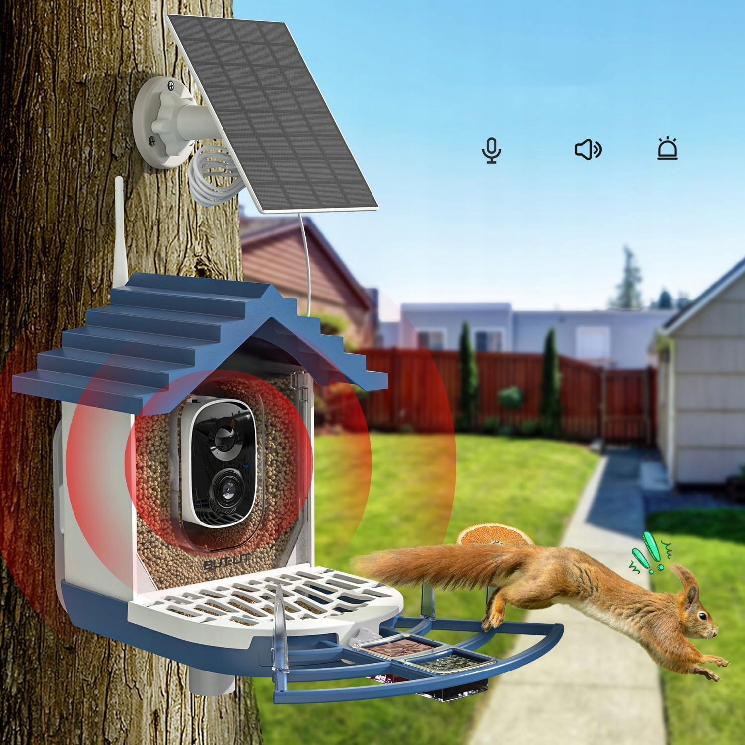 Inteligentnykarmnikdlaptakowzkamerazasilanyenergiaslonecznaz64GBProducentnieznanyproducent belsilt Išmani paukščių lesyklėlė su kamera 2K Wi Fi su saulės panele su AI paukščių atpažinimu su naktiniu matymu