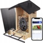 Origem medinė išmani paukščių lesyklėlė su kamera Full HD 1080p Wi Fi su saulės panele IP65 3 l lesalo talpa