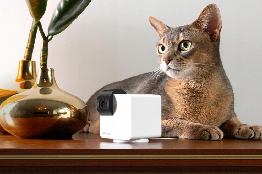 KameraPetcube360zinteraktywnymlaseremidwukierunkowymaudioKodproducentaPETCUBECAM360 belsilt
