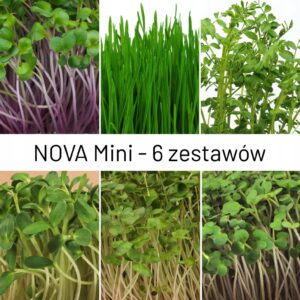 Nova Mini Bio mikrožalumynų rinkinys 6 daigykloms