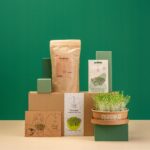MicrogreensZestawdouprawymikroliscipakchoiFabrykaRozsady belsilt Pak choi mikrožalumynų auginimo rinkinys Fabryka Rozsady
