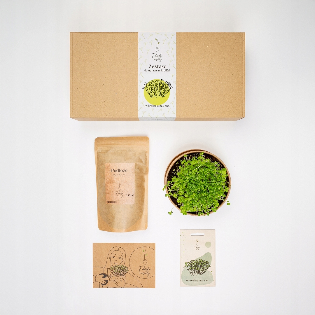 MicrogreensZestawdouprawymikroliscipakchoiFabrykaRozsadyMarkaFabrykaRozsady belsilt Pak choi mikrožalumynų auginimo rinkinys Fabryka Rozsady