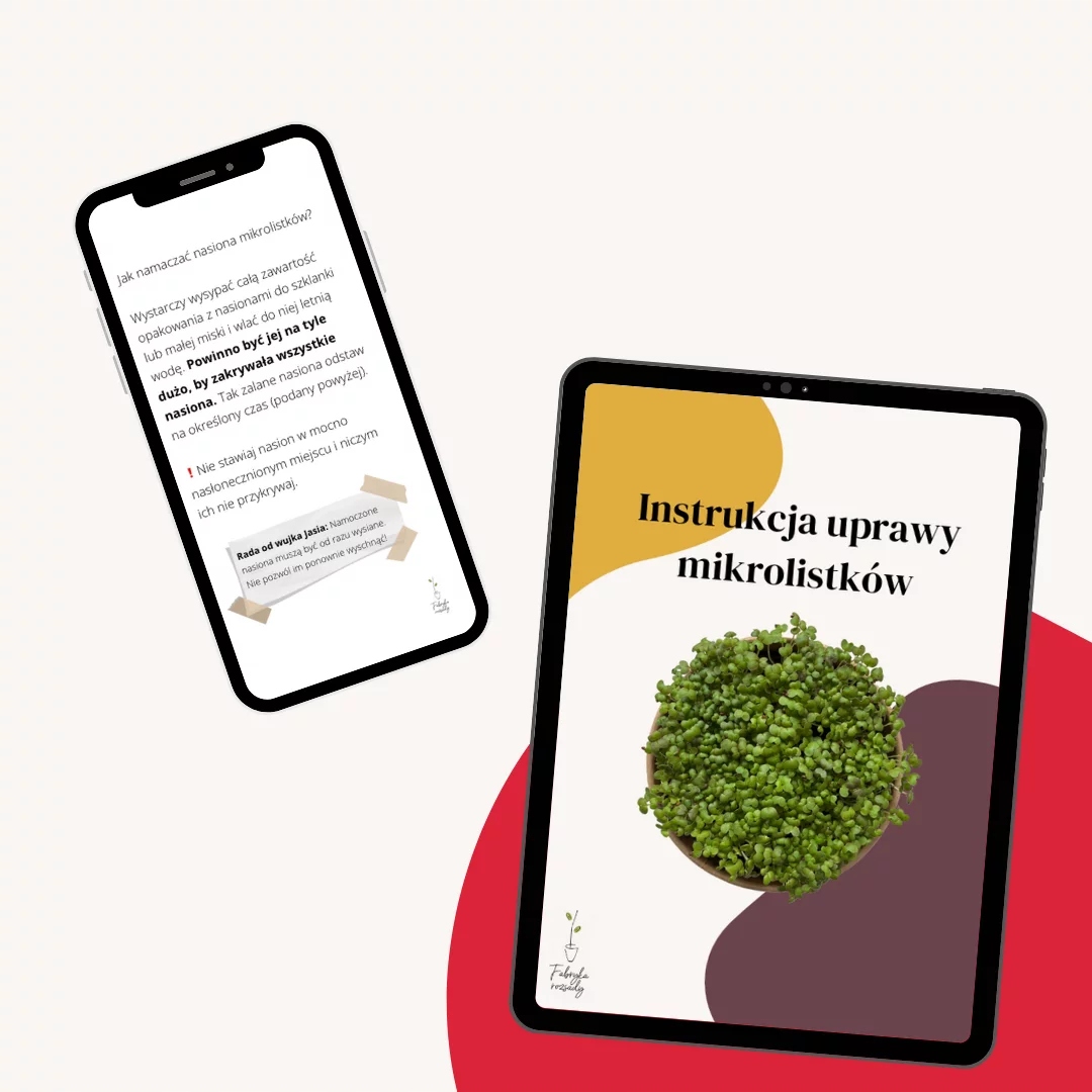 MicrogreensZestawdouprawymikroliscipakchoiFabrykaRozsadyWaga3g belsilt Pak choi mikrožalumynų auginimo rinkinys Fabryka Rozsady