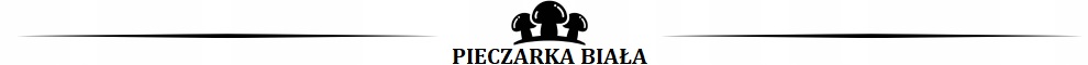 PieczarkaBialaGrzybniaBalot15lUprawawDomuSzybkiPlonKodproducentaEGPIECZB15L belsilt Baltųjų pievagrybių auginimo rinkinys 15 l su paruoštu substratu greitam derliui namams