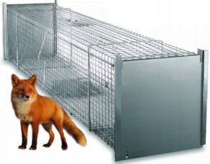 ZYWOLAPKAPULAPKANALISYKUNYKOTYSZOPYiINNE150x29x31cmPOLSKA belsilt