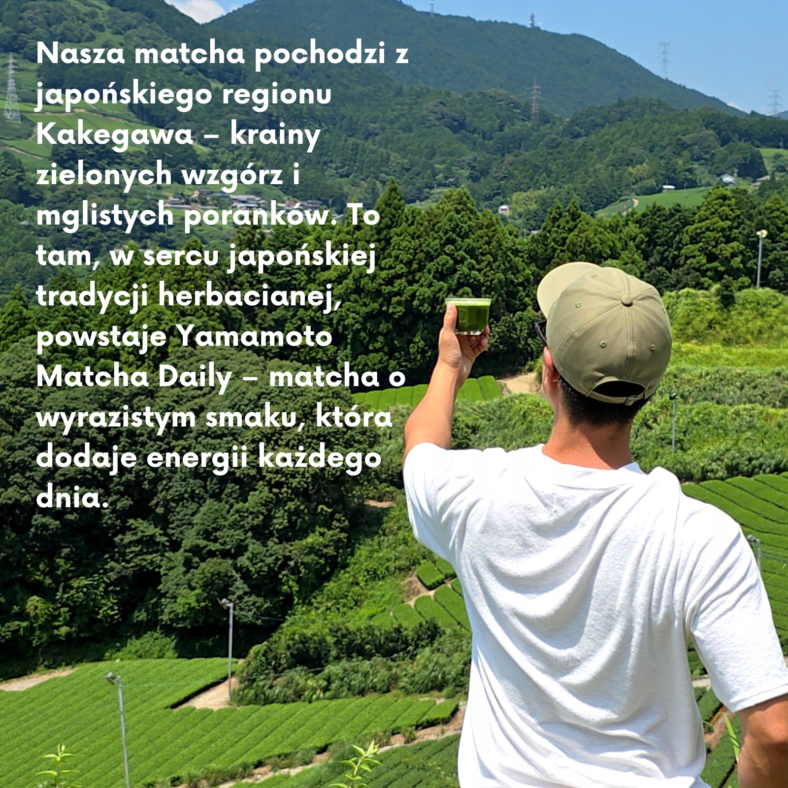 86fc9fba41a69e28a5370e83806a belsilt Japoniška matcha arbata premium Yamamoto 50 g žalioji arbata