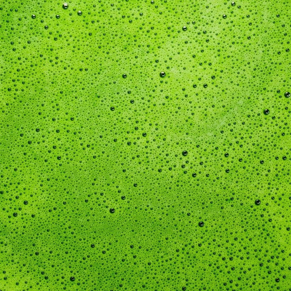 HerbataMatchaJaponskaZielonaTradycyjna100gdoLatteYushiMatchaKodproducentaYMTRAD100 belsilt