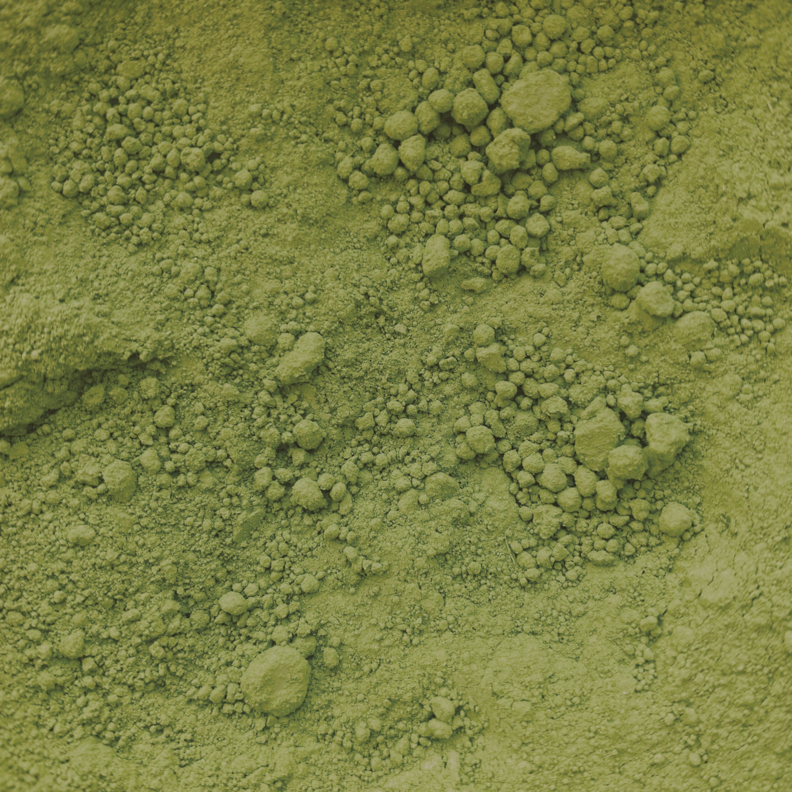 MATCHA100gHerbataZielonaCodzienna100gwproszkudolatteketonuttStanopakowaniaoryginalne belsilt Japoniška matcha arbata kasdienė keto ir lattei 100 g namų ritualui