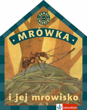 Skruzdėlė ir jos skruzdėlynas pažintinė knyga