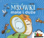Mažos ir didelės skruzdėlės Justyna Kierat knyga  ilgalaikei kontrolei