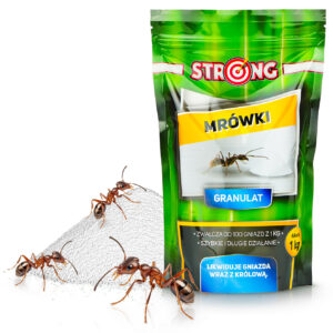 Strong skruzdėlių naikinimo milteliai produkto kiekis 1 kg  namams ir terasai
