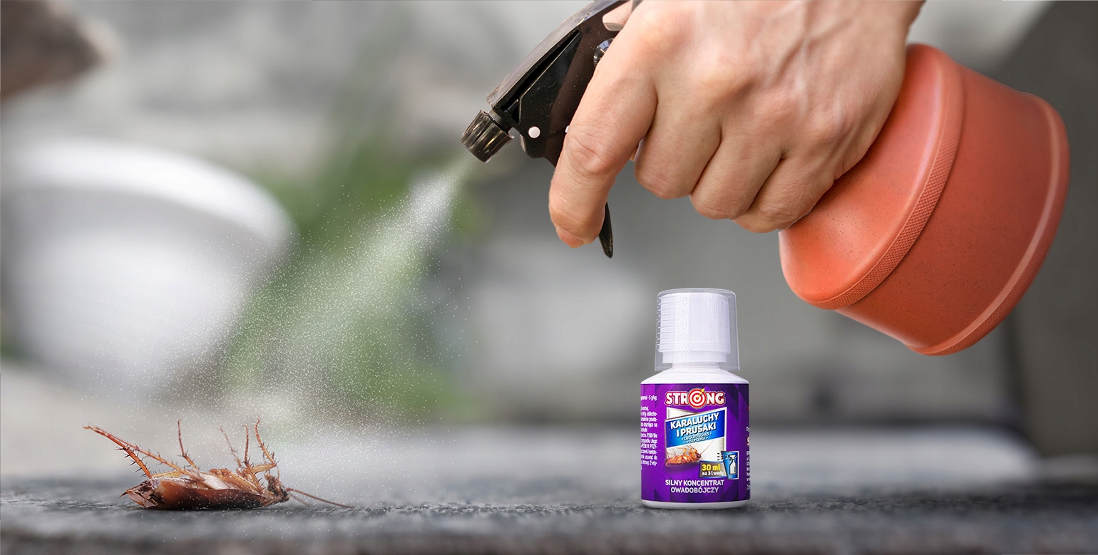 OPRYSKNAKARALUCHYIPRUSAKISILNYPREPARATWKONCENTRACIESTRONG30MLKodproducenta3405 belsilt Strong koncentratas nuo tarakonų ir prūsokų purškimui 30 ml
