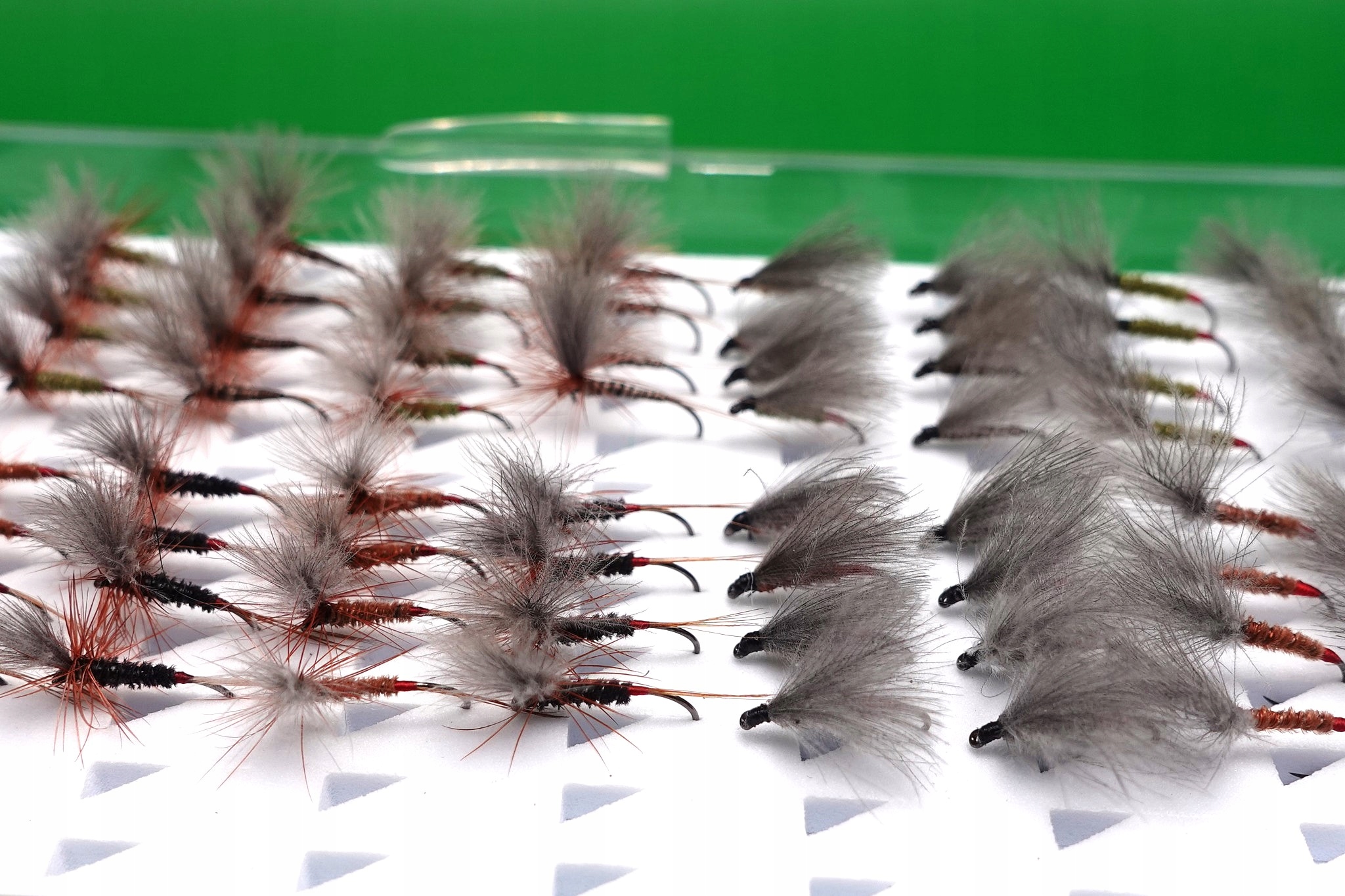 Zestaw64SztucznychMuchSucheMuchyCDCwPudelkuVisioninFlyFishingStanopakowaniaoryginalne belsilt Vision in Fly Fishing sausų dirbtinių muselių rinkinys 64 vnt