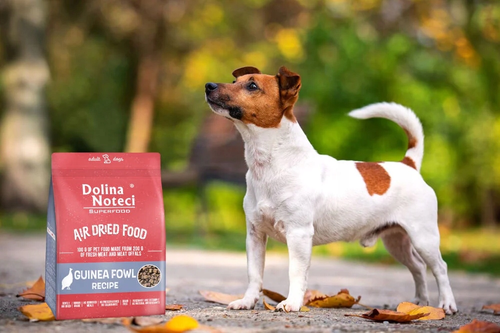 Dolina Noteci Superfood ore džiovintas visavertis šunų maistas su perlinių vištų mėsa, 1 kg