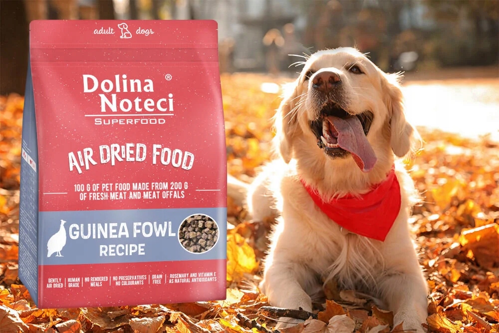 Dolina Noteci Superfood ore džiovintas visavertis šunų maistas su perlinių vištų mėsa, 1 kg