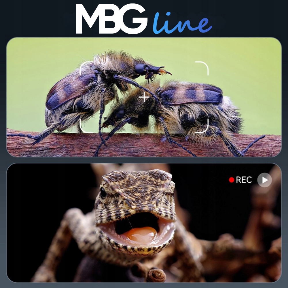 MikroskopCyfrowyEdukacyjnyWIFIPowiekszenie1200xHDMIEkran7caliPILOTModel330H belsilt WiFi skaitmeninis mikroskopas MBG Line Inskam 315 1200x 7 ekranas 5 MP 8 LED