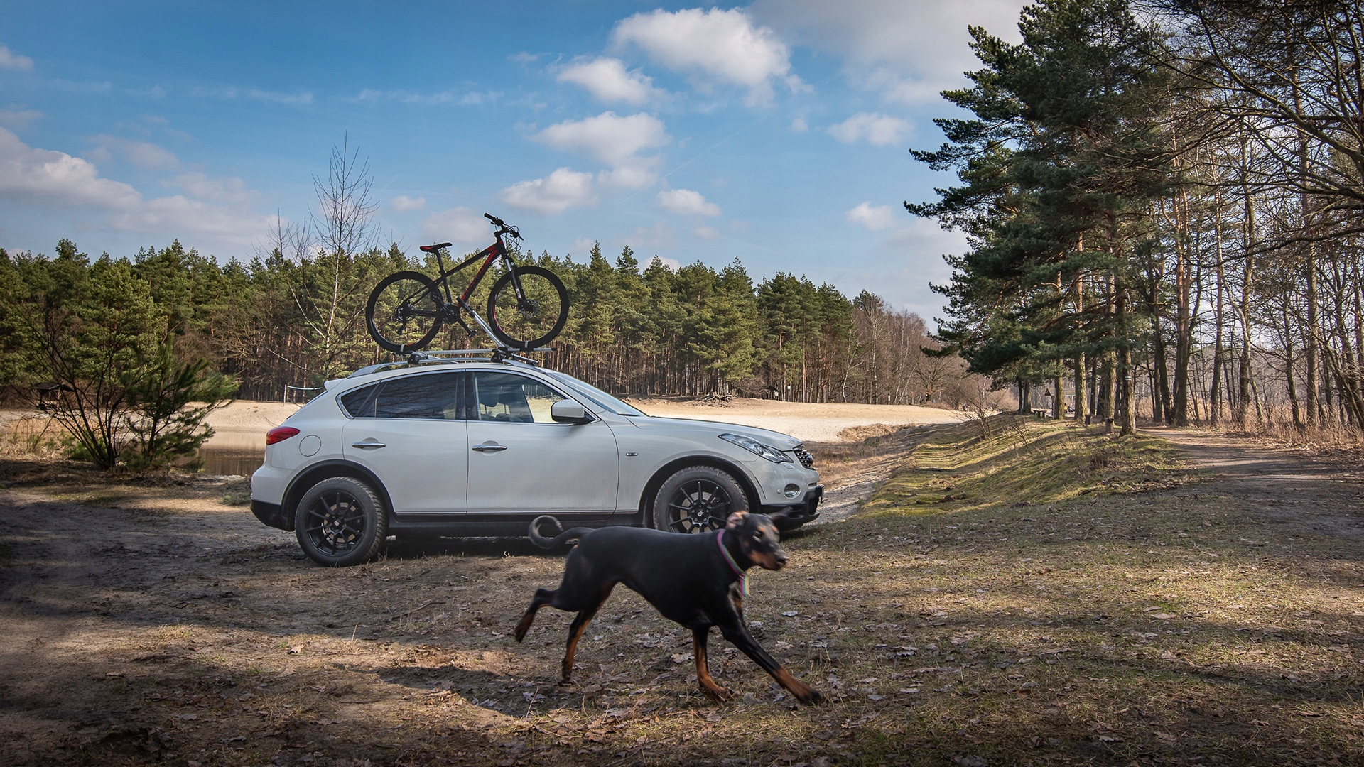 Taurus BikeUp aliumininis stogo dviračio laikiklis su užraktu, iki 17 kg - Image 12