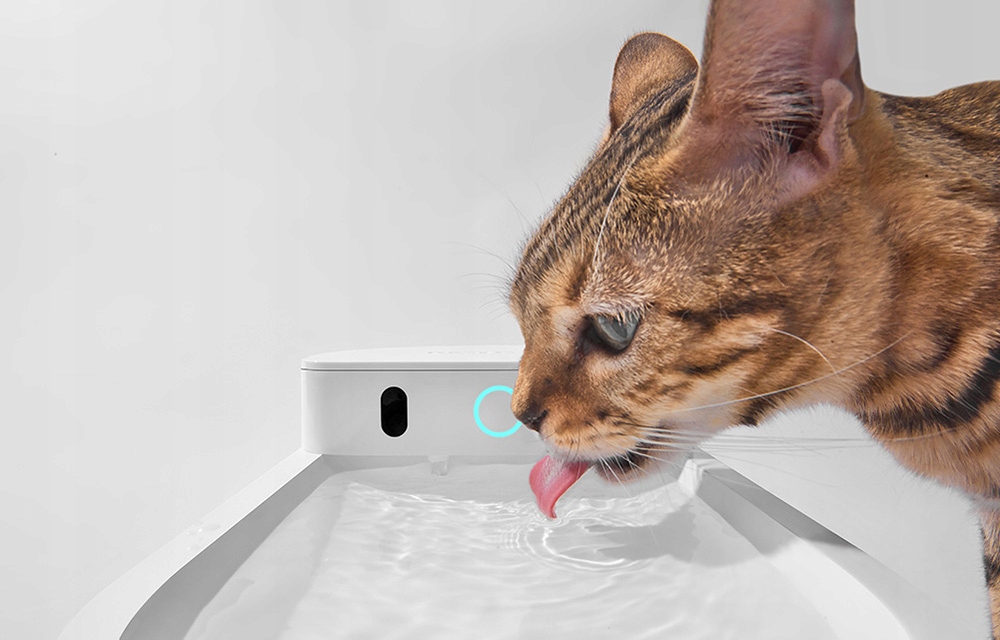 Catlink Pure 3 išmanioji 2,3 l gertuvė-fontanas katėms ir šunims su nuotoliniu valdymu