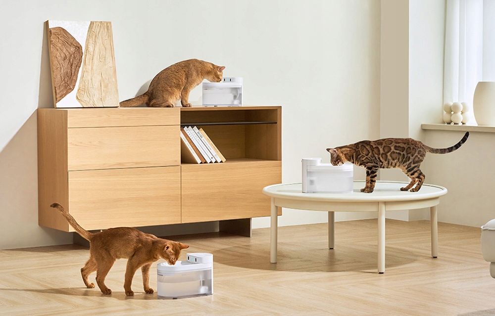 Catlink Pure 3 išmanioji 2,3 l gertuvė-fontanas katėms ir šunims su nuotoliniu valdymu