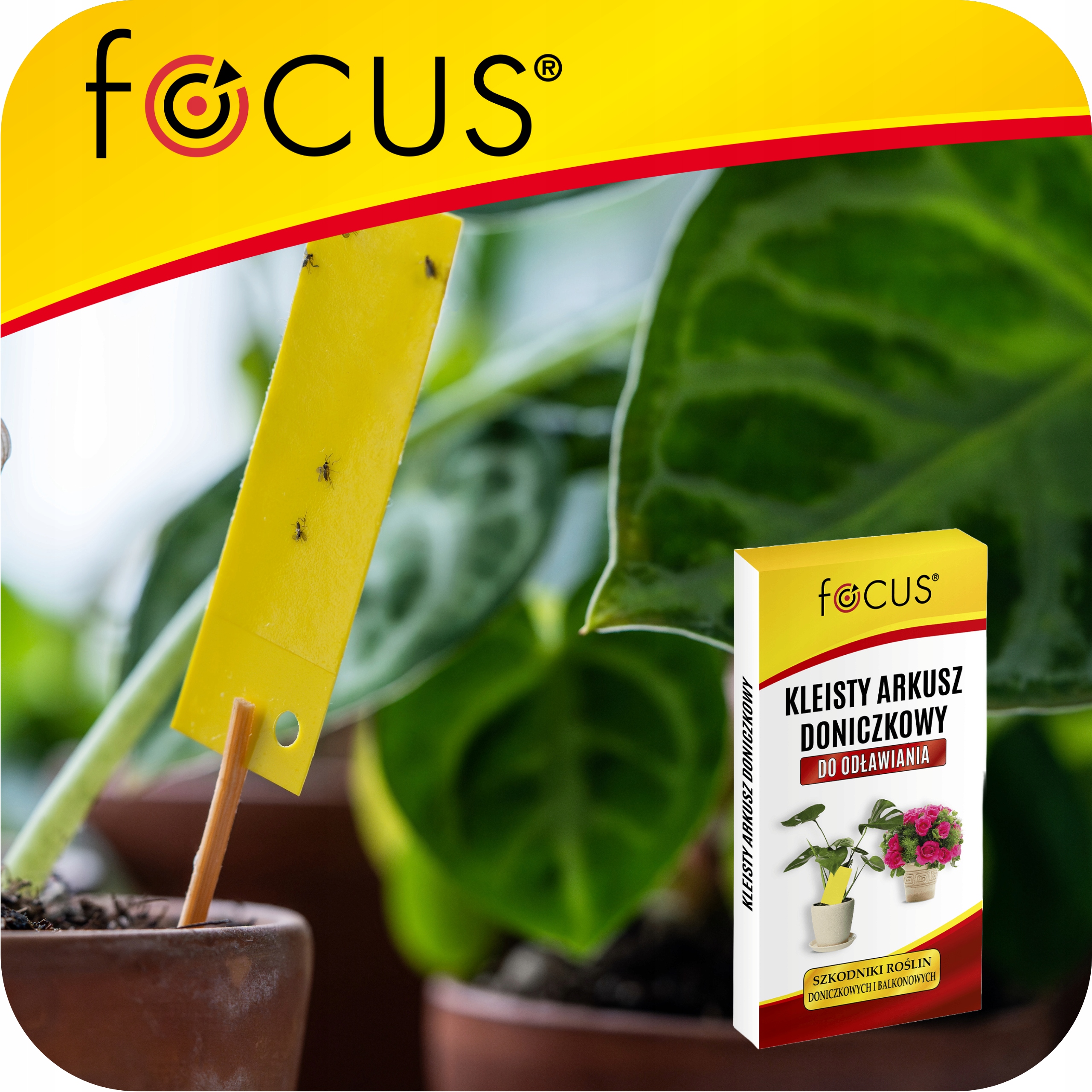 Focus geltonos lipnios plokštelės vazonams nuo skraidančių kenkėjų 12 vnt belsilt Focus geltonos lipnios plokštelės vazonams nuo skraidančių kenkėjų 12 vnt