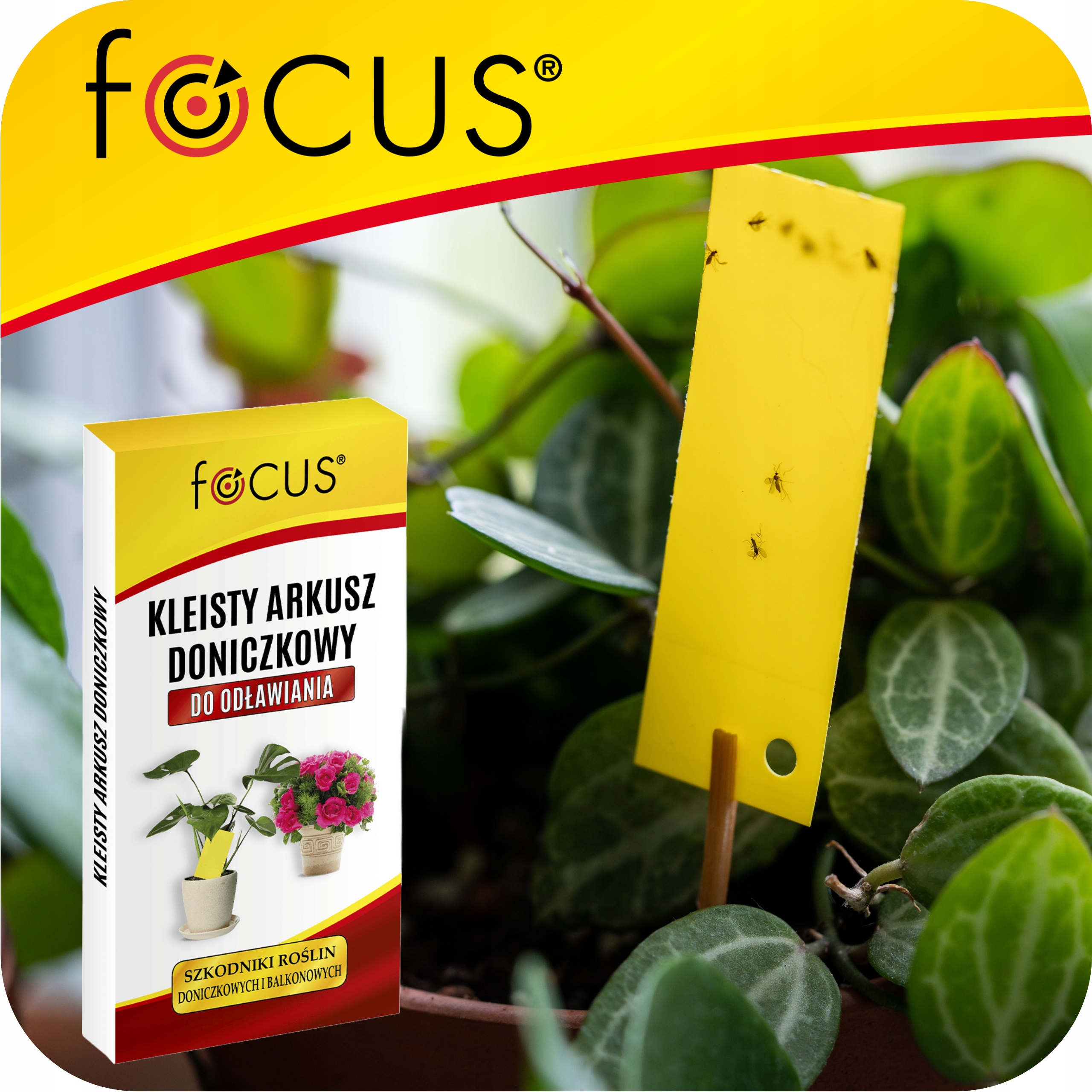 Focus geltonos lipnios plokštelės vazonams nuo skraidančių kenkėjų 12 vnt belsilt Focus geltonos lipnios plokštelės vazonams nuo skraidančių kenkėjų 12 vnt