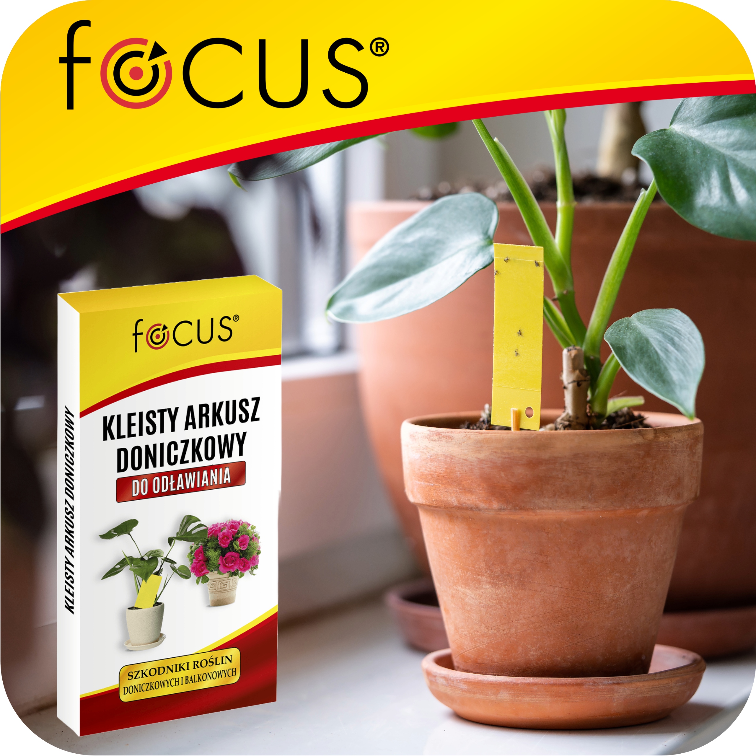 Focus geltonos lipnios plokštelės vazonams nuo skraidančių kenkėjų 12 vnt belsilt Focus geltonos lipnios plokštelės vazonams nuo skraidančių kenkėjų 12 vnt