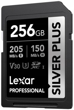 Kortelė Sdxc Professional Silver Plus 256GB R205  W150