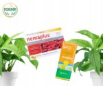 Nemaplus nematodų ir gaudyklių rinkinys nuo muselių vazonuose 3 mln + 10 vnt