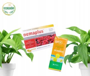 Nemaplus nematodų ir gaudyklių rinkinys nuo muselių vazonuose 3 mln + 10 vnt