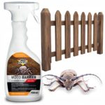 No Pest Wood Barrier 450 ml purškalas nuo kinivarpų ir medienos kenkėjų