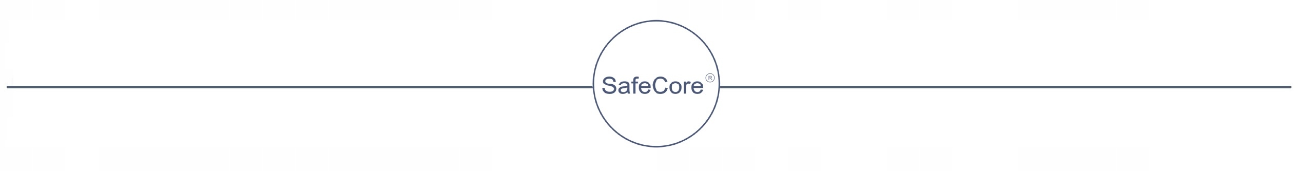 SafeCore ilgi baldų nešimo diržai su apraišomis 450 cm 5 cm belsilt SafeCore ilgi baldų nešimo diržai su apraišomis 450 cm 5 cm