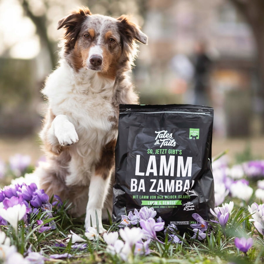 Tales & Tails Lamb pusiau drėgnas begrūdis maistas šunims su ėriena, 1,5 kg
