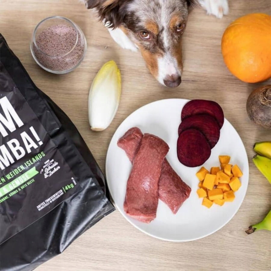 Tales & Tails Lamb pusiau drėgnas begrūdis maistas šunims su ėriena, 1,5 kg