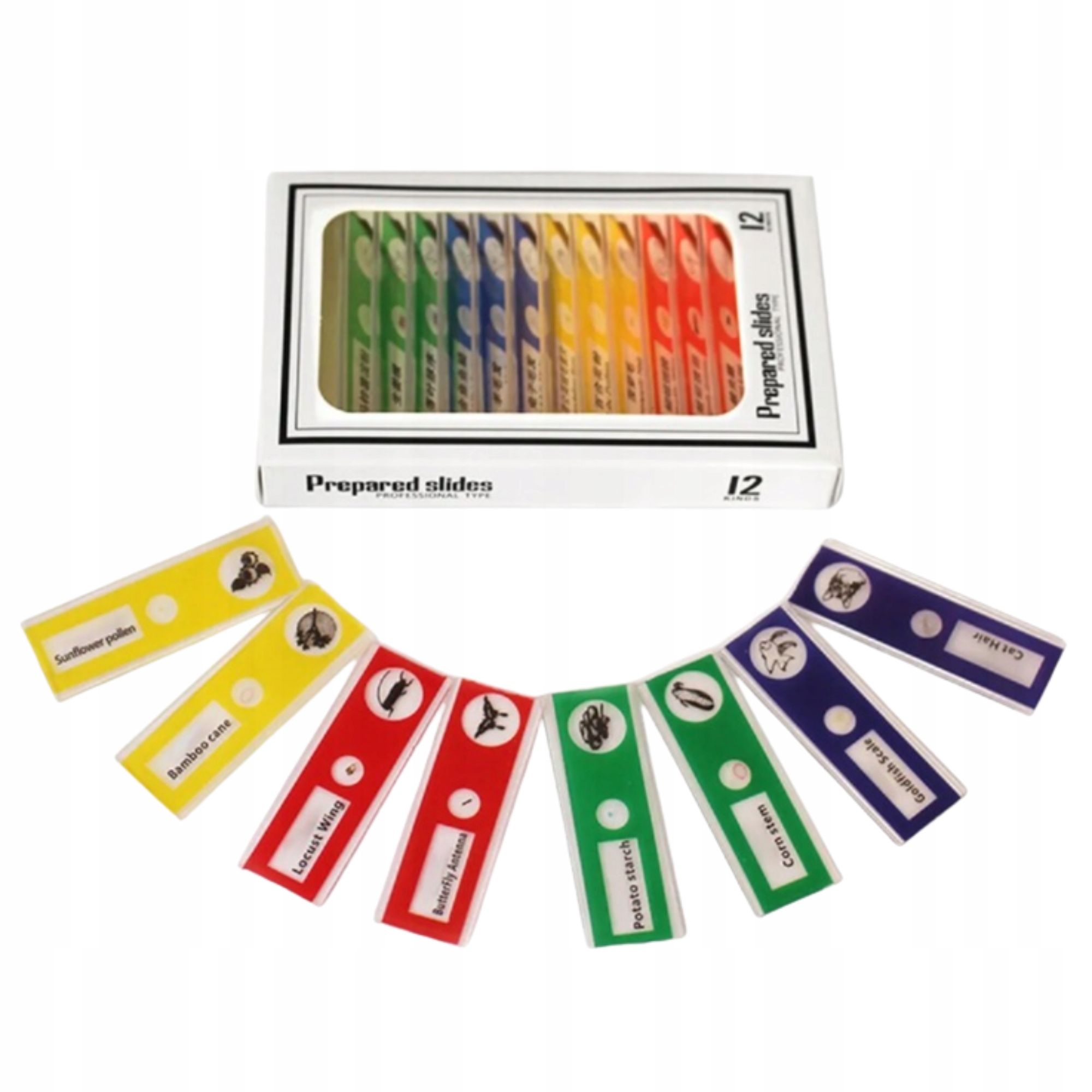 usbskaitmeniniaimikroskopai2519248 belsilt Kišeninis skaitmeninis mikroskopas vaikams 1000x 2 ekranas 8 LED 600 mAh rudas