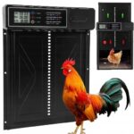 36 cm automatinės vištidės durys su LCD laikmačiu