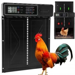 36 cm automatinės vištidės durys su LCD laikmačiu