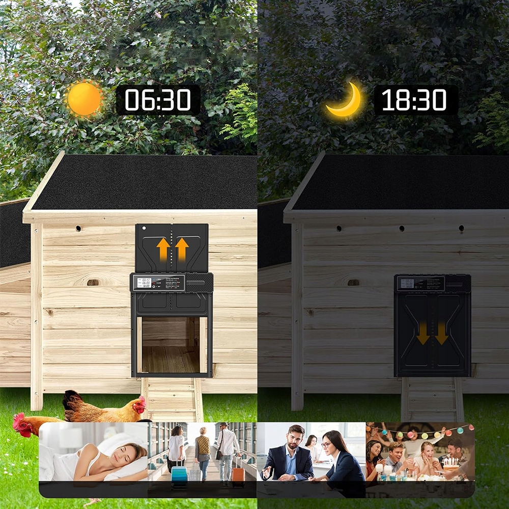 Automatinės vištidės durys su programuojamu LCD laikmačiu – produkto vaizdas 2