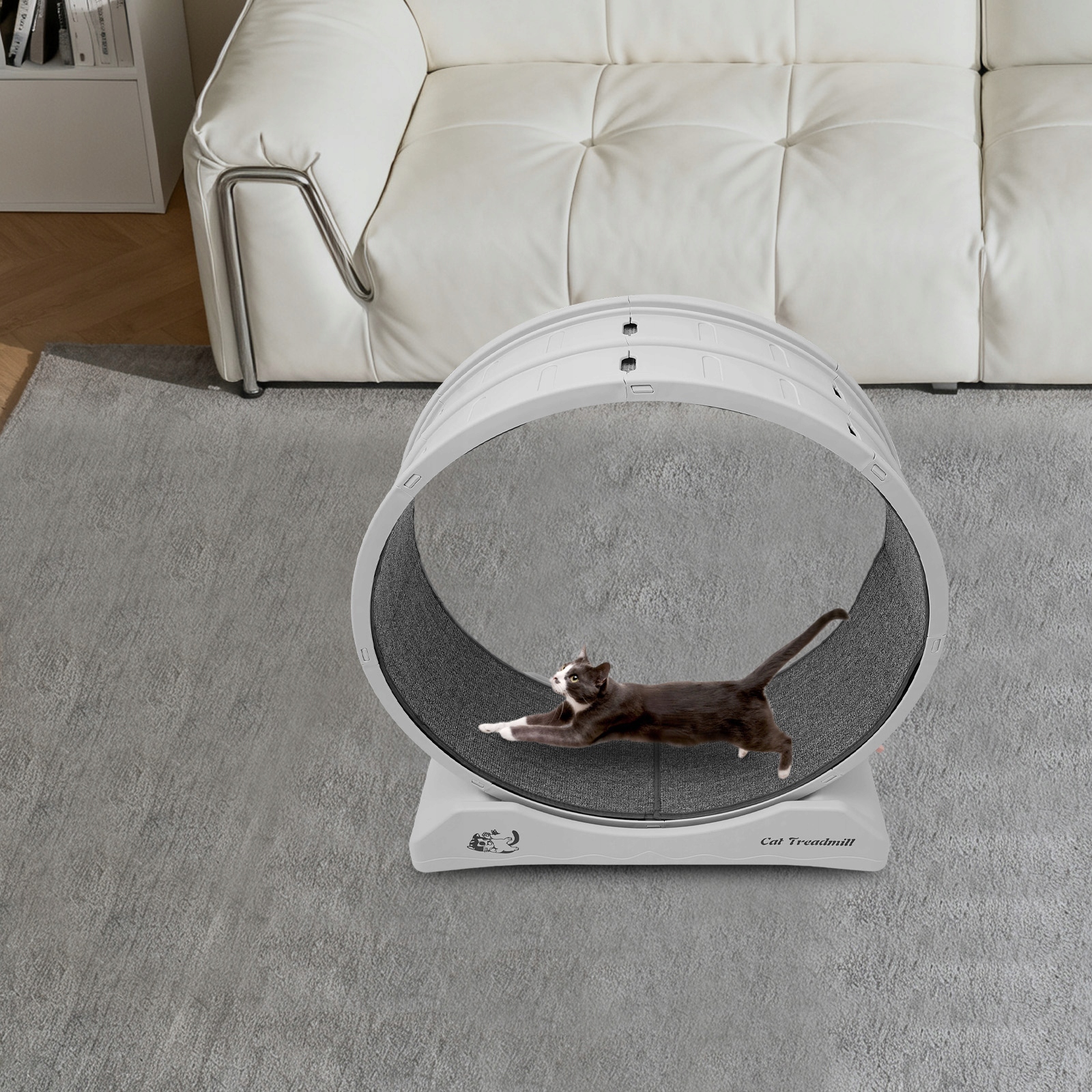 Tylus kačių mankštos ratas 80 cm su užraktu, pilkas, iki 10 kg – Rato dydžio ir konstrukcijos vaizdas iš šono.