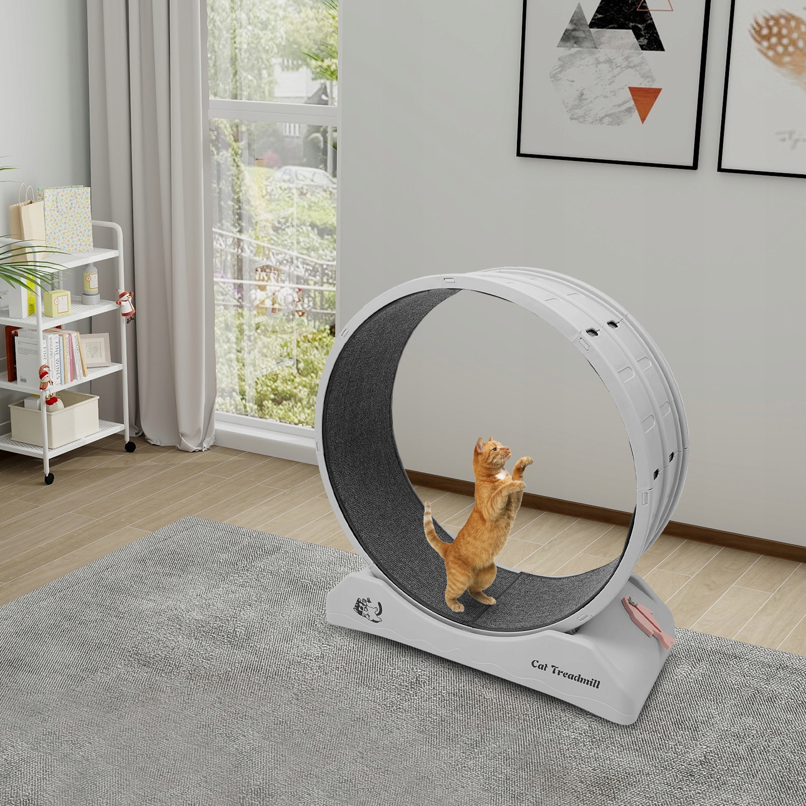 Tylus kačių mankštos ratas 80 cm su užraktu, pilkas, iki 10 kg – Fiksavimo arba blokavimo mechanizmo detalės.