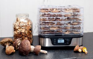 Vaisių ir grybų džiovyklė be BPA | laiko ir temperatūros kontrolė | 6 porcijos